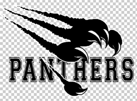 Carolina Panthers Thonon Black Panthers American Football Ligue Élite