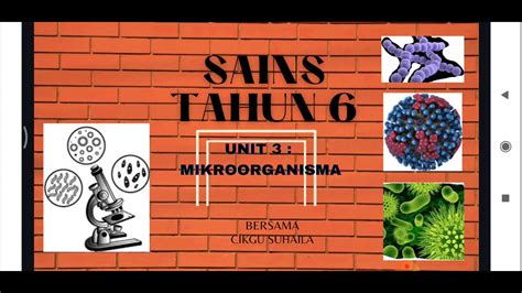 SAINS TAHUN 6 MIKROORGANISMA  YouTube