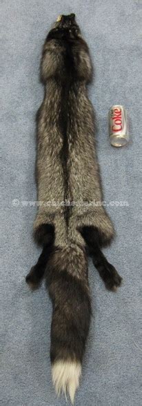 Silver Fox Skins Or Furs Or Pelts Or Hides