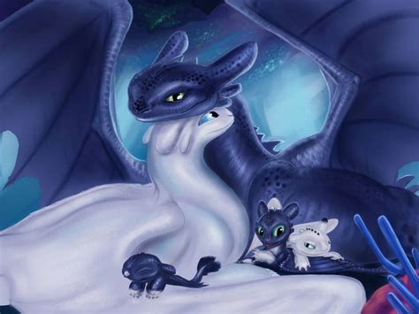 Toothless And Light Fury By Svpolarfox On Deviantart How Train Your