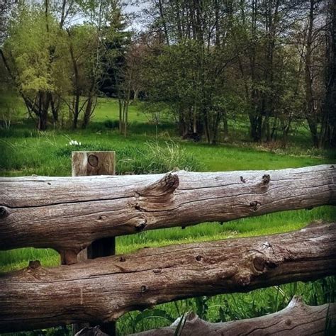 We did not find results for: Top 70 Best Wooden Fence Ideas - Exterior Backyard Designs