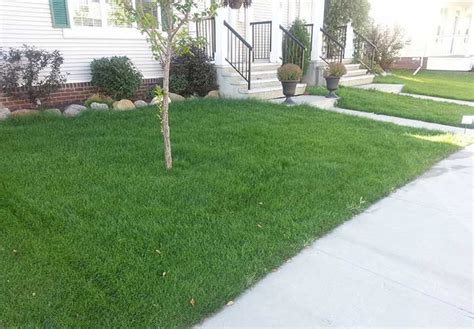 Check spelling or type a new query. Photo Gallery - Weed Patrol - Edmonton Lawn Care