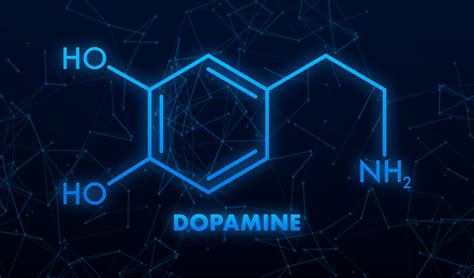 Manque ou excès de dopamine Ce que vous devez savoir