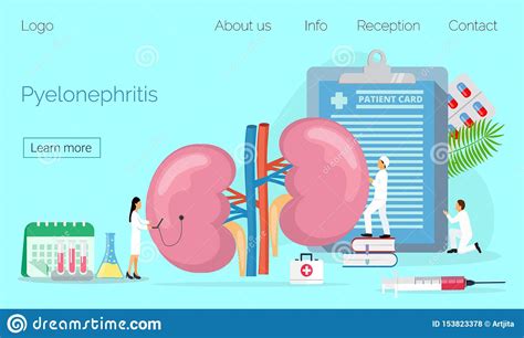 Concept Of Pyelonephritis Diseases And Kidney Stones Cystitis Stock