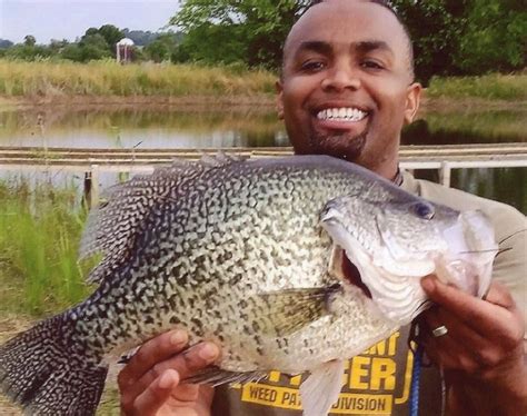 Buy your licenses at a license agent or at fish and game headquarters in concord. Game & Fish's Top 10 Stories of 2018
