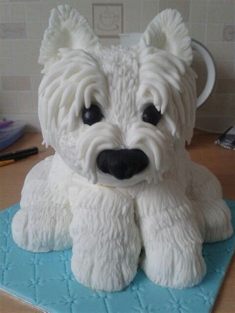 | rainbow birthday cake for dogs ingredients cake batter: Westie cake | Dog cakes, Animal cakes