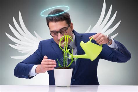 Angel Investors Who Are They And How Does It Work Innovic