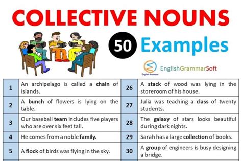 Collective Nouns Sentences 50 Examples Englishgrammarsoft
