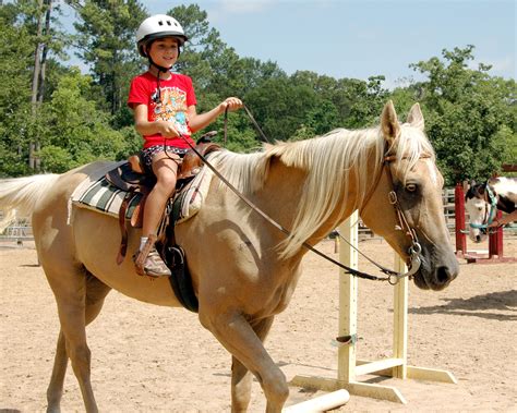 Learning How To Ride A Horse Can Be An Exciting And Fulfilling