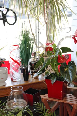 Order flowers from coventry gardens, your choice for local same day flower delivery in the vancouver, wa area. About Awesome Flowers, Hours & Delivery in Vancouver WA