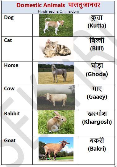 Barkley Foam Posites Ten Pet Animals Name In Hindi