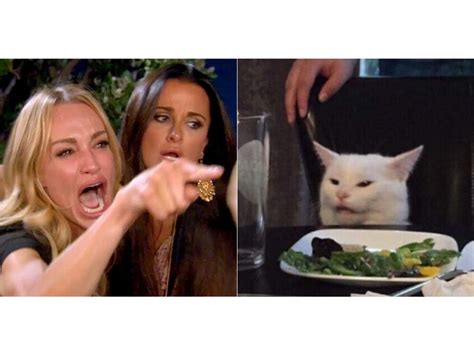 Meme Generator Woman Yelling At Cat Meme