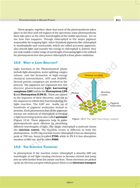 Photosynthesis In Higher Plants Ncert Book Of Class Biology