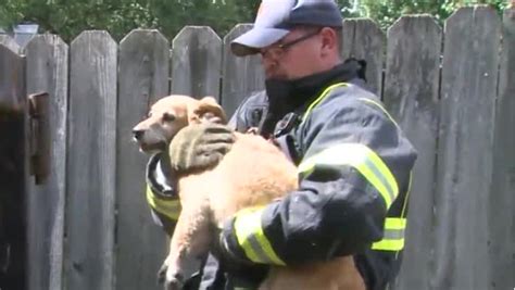 Watch Firefighters In Jeffersonville Rescue Dog Trapped Under Dumpster
