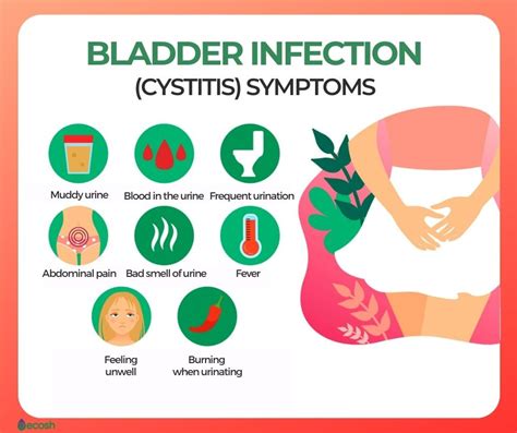 bladder infection treatment