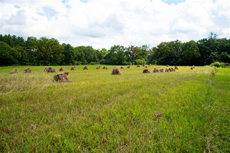 Hay Bales On The Grass Image Free Stock Photo Public Domain Photo