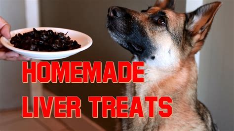 How To Make Home Made Liver Treats For Your Dog Youtube