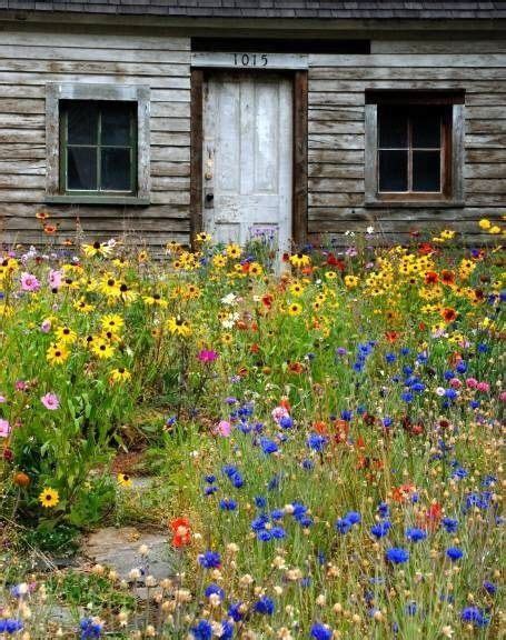 meg s oldfarmhouse meadow garden wildflower garden garden cottage dream garden garden and