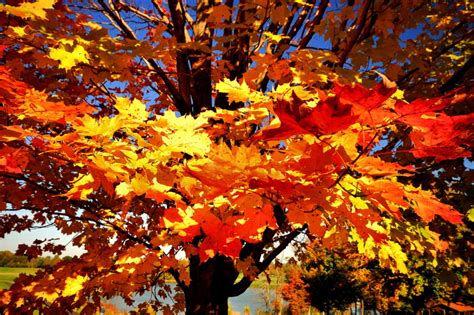 Late October In Bucks County Flickr