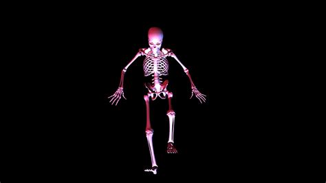 Posing Skeleton Animation Stock Motion Graphics Sbv 300249069 Storyblocks