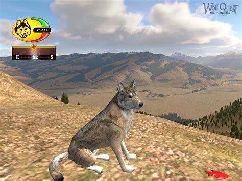 Wolf Quest Free Multiplayer Online Games