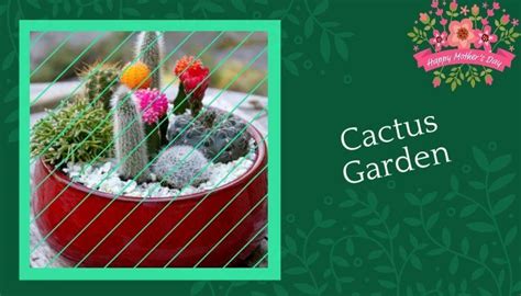 However, there are a few hybrid forms of the christmas cactus that will produce a second flowering period in february. Top 7 List of Best Houseplants for Mother's Day to give ...