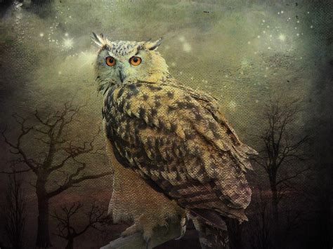 Eurasian Eagle Owl By Dave Godden Redbubble