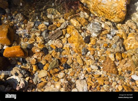 Colorful Pebbles Under Water Sea For The Background Stock Photo Alamy