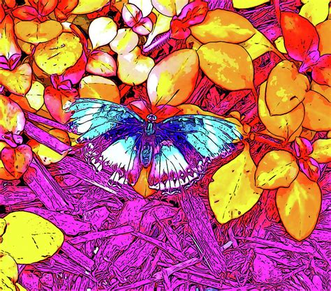 Beautiful Butterfly In Vivid Colors Digital Art By Marian Bell Fine