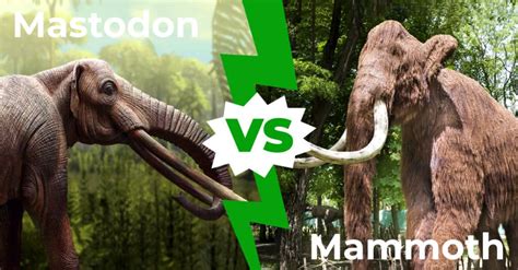 Mastodon Vs Mammoth 7 Key Differences Explained Az Animals