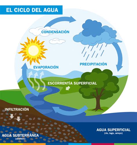 Arriba Más De 75 Ciclo Hidrologico Del Agua Dibujo Muy Caliente