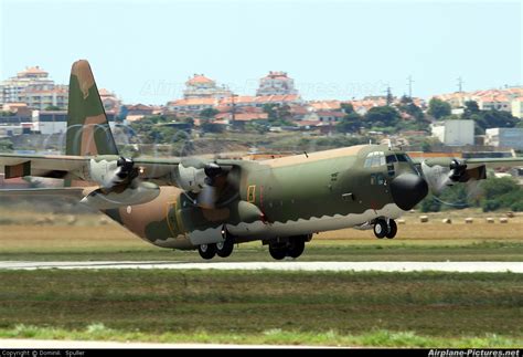 16801 Portugal Air Force Lockheed C 130h Hercules At Sintra Photo