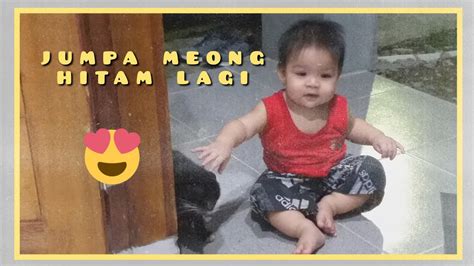 Arti mimpi digigit kucing mimpi digigit kucing ini memiliki sebuah makna yaitu peringatan untuk arti mimpi dikejar kucing dikejar kucing merupakan pertanda bahwa kamu akan mendapati tekanan. ketemu kucing hitam _ ketemu lagi dan main bareng deh ...