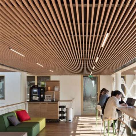 Wood Slat Ceiling Home Design Ideas