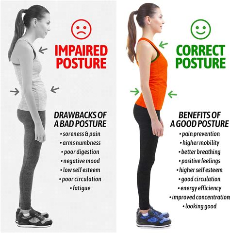 Can You Really Improve Your Posture With A 30 Posture Corrector