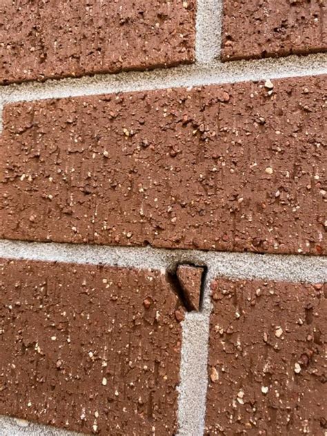 Let's take a look at each one. View topic - Chipped Brick! Worth fixing? • Home ...