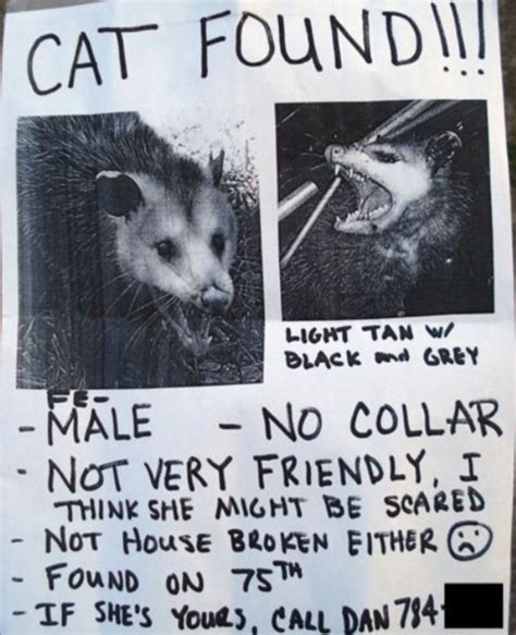 The poster, located in london's paternoster square, was slowly and unwittingly rubbed out by the public as they went about their businesscredit: Missing pet signs put up by owners across the world ...