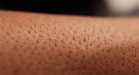 Things Your Body Hair Is Trying To Tell You About Your Health