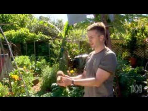 In many small gardens, the plants will be in full shade. How to Create a Beautiful Edible Landscape - Tim Robson On ...