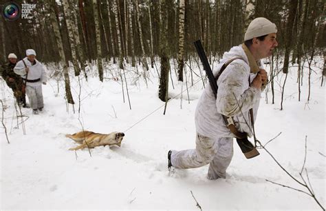 They rarely attack during the day, however, those huntings still occur, especially in the summer months when wolves rely on individual skills. Nexus images News Stories in images: Wolf Hunt In Chernobyl