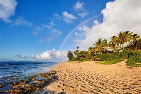 Lanikai Beach Is One Of Oahus Most Stunning Secrets Hawaii Beach Homes