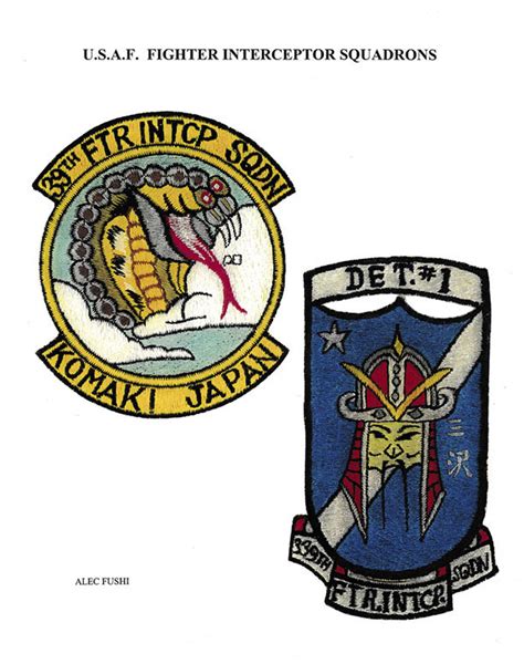 Usaf Fighter Interceptor Squadrons