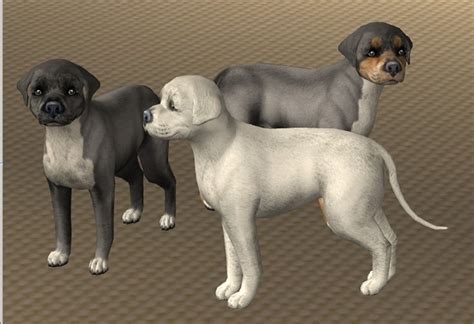 Mod The Sims 3 Pitbull Pups