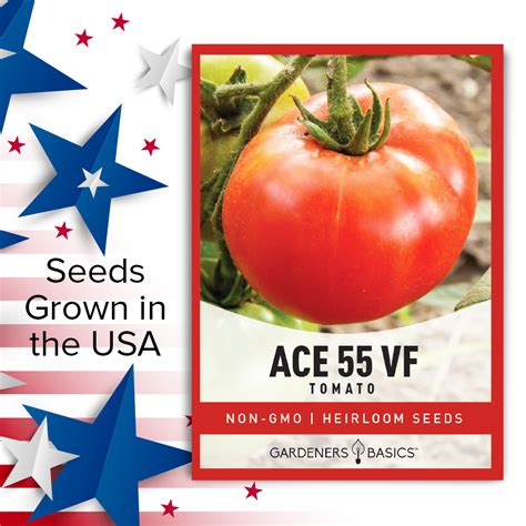 Ace 55 Vf Tomato Seeds Gardeners Basics