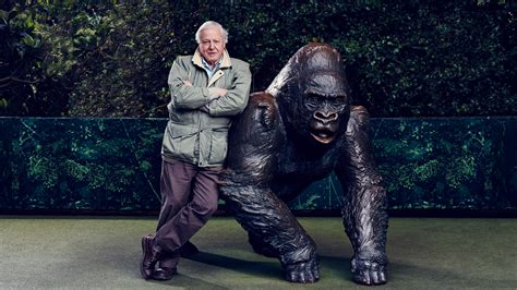 Sir David Attenborough Facts Sir David Attenborough Presenters