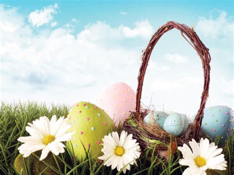 Easter Eggs With Flowers Backgrounds Nature Powerpoint
