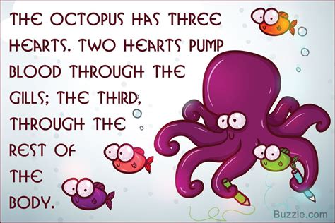 The Octopus Is An Intriguing Creature Of The Seas That Derives Its Name