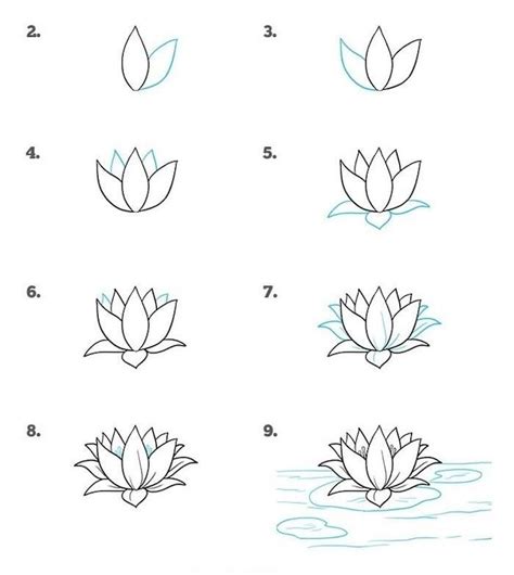 35 Flower Drawings For Beginners Step By Step Harunmudak