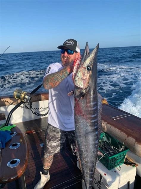 Wahoo Teeth With Facts And Pictures Strike And Catch