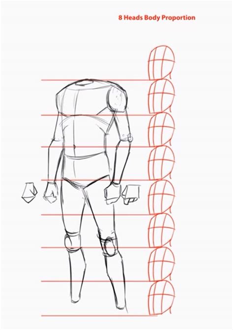 Draw the torso the easier way with this exercise. How to draw the human body step by step. How to draw a ...